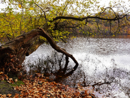 Rursee02